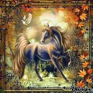 Meet your Posher, Robin